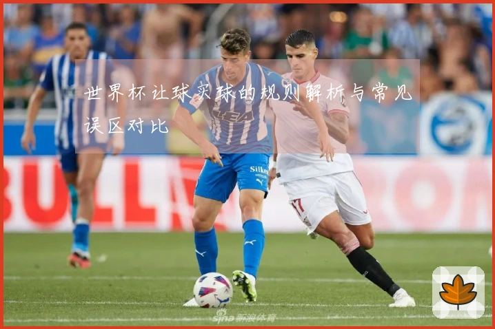 世界杯让球买球的规则解析与常见误区对比