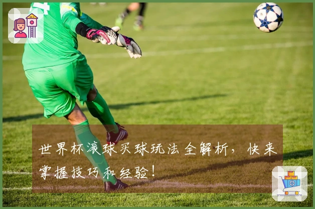 世界杯滚球买球玩法全解析，快来掌握技巧和经验！