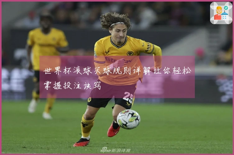 世界杯滚球买球规则详解让你轻松掌握投注诀窍