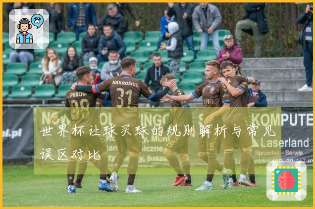 世界杯让球买球的规则解析与常见误区对比