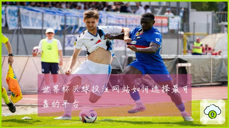 世界杯买球投注网站如何选择最可靠的平台