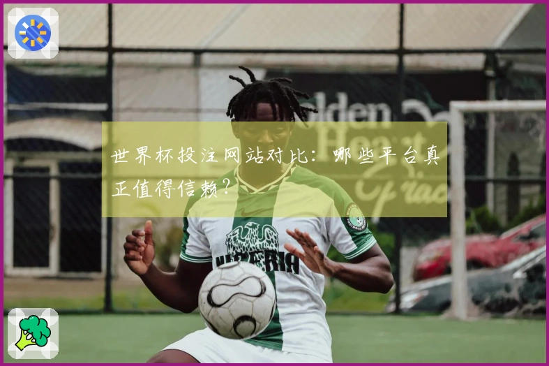 世界杯投注网站对比：哪些平台真正值得信赖？