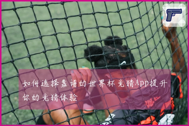 如何选择靠谱的世界杯竞猜App提升你的竞猜体验