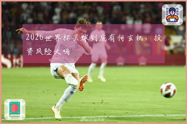 2026世界杯买球到底有何玄机，投资风险大吗