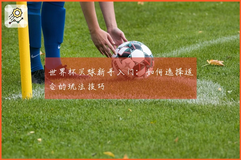 世界杯买球新手入门：如何选择适合的玩法技巧