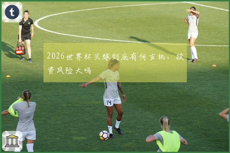 2026世界杯买球到底有何玄机，投资风险大吗